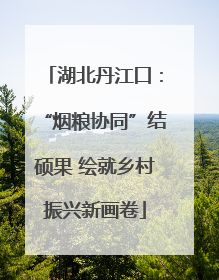 湖北丹江口：“烟粮协同”结硕果 绘就乡村振兴新画卷
