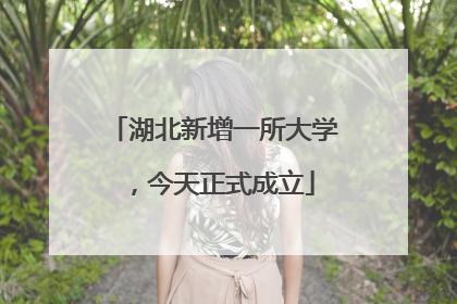 湖北新增一所大学，今天正式成立