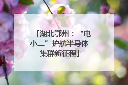 湖北鄂州：“电小二”护航半导体集群新征程