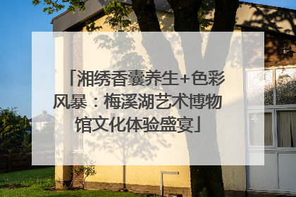 湘绣香囊养生+色彩风暴：梅溪湖艺术博物馆文化体验盛宴