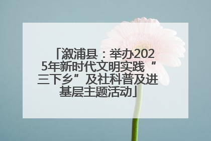 溆浦县：举办2025年新时代文明实践“三下乡”及社科普及进基层主题活动