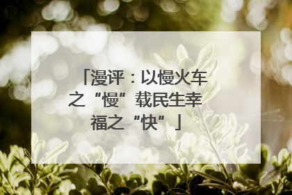 漫评：以慢火车之“慢”载民生幸福之“快”
