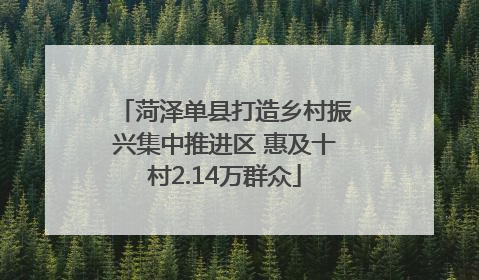 菏泽单县打造乡村振兴集中推进区 惠及十村2.14万群众