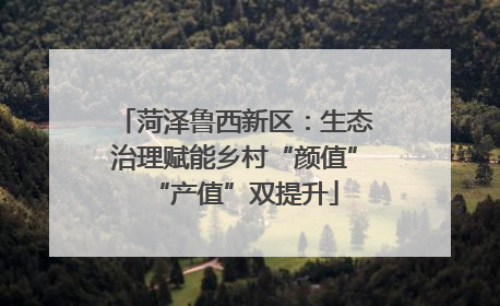 菏泽鲁西新区：生态治理赋能乡村“颜值”“产值”双提升