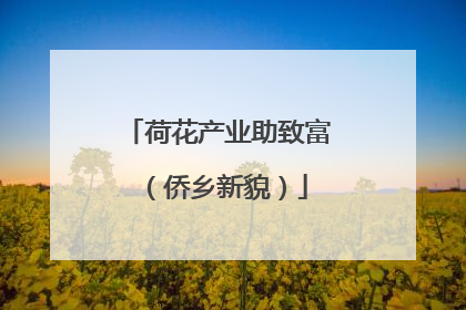 荷花产业助致富（侨乡新貌）