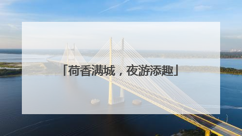 荷香满城，夜游添趣