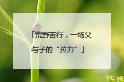 荒野苦行，一场父与子的“拉力”