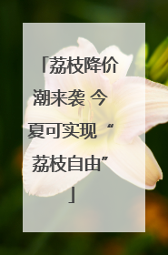 荔枝降价潮来袭 今夏可实现“荔枝自由”