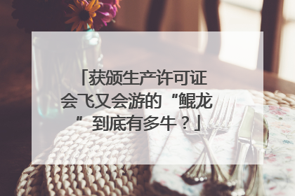 获颁生产许可证 会飞又会游的“鲲龙”到底有多牛？