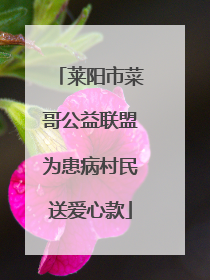 莱阳市菜哥公益联盟为患病村民送爱心款