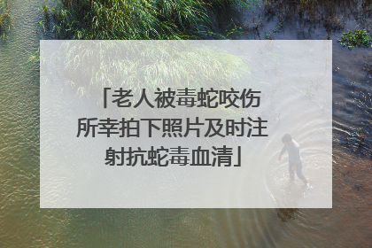 老人被毒蛇咬伤 所幸拍下照片及时注射抗蛇毒血清