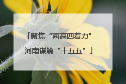 聚焦“两高四着力” 河南谋篇“十五五”
