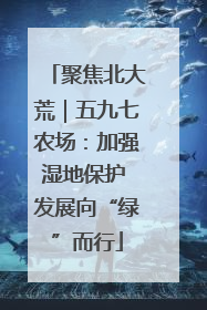 聚焦北大荒｜五九七农场：加强湿地保护 发展向“绿”而行