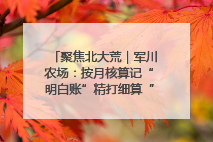聚焦北大荒｜军川农场：按月核算记“明白账”精打细算“过紧日子”