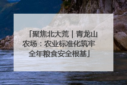 聚焦北大荒｜青龙山农场：农业标准化筑牢全年粮食安全根基