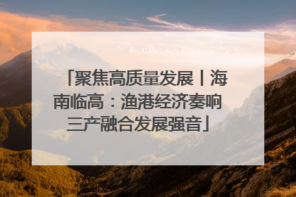聚焦高质量发展丨海南临高：渔港经济奏响三产融合发展强音