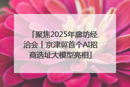 聚焦2025年廊坊经洽会丨京津冀首个AI招商选址大模型亮相