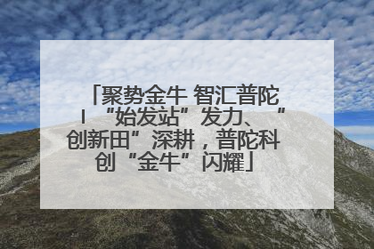 聚势金牛 智汇普陀〡“始发站”发力、“创新田”深耕，普陀科创“金牛”闪耀