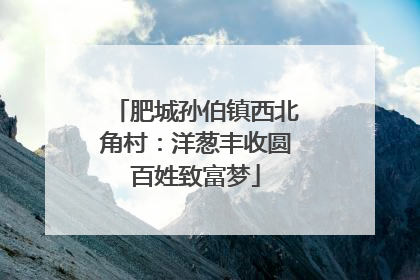肥城孙伯镇西北角村：洋葱丰收圆百姓致富梦