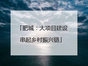 肥城：大项目建设串起乡村振兴链