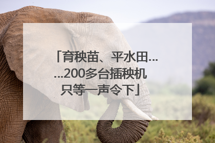 育秧苗、平水田……200多台插秧机只等一声令下