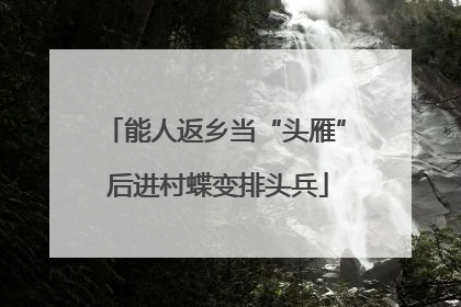 能人返乡当“头雁” 后进村蝶变排头兵