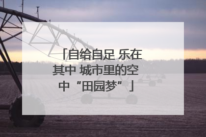 自给自足 乐在其中 城市里的空中“田园梦”