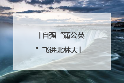 自强“蒲公英”飞进北林大