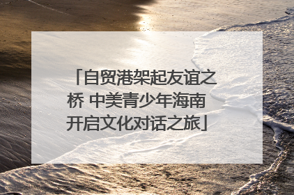 自贸港架起友谊之桥 中美青少年海南开启文化对话之旅