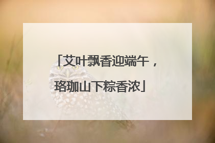 艾叶飘香迎端午，珞珈山下粽香浓