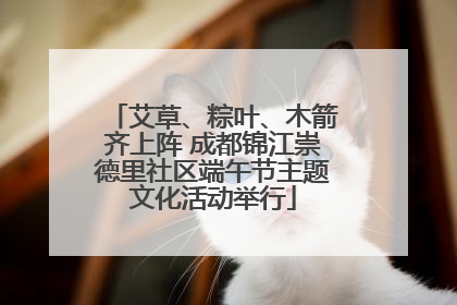 艾草、粽叶、木箭齐上阵 成都锦江崇德里社区端午节主题文化活动举行