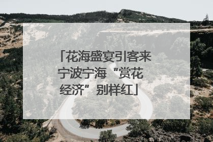 花海盛宴引客来 宁波宁海“赏花经济”别样红
