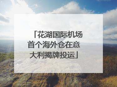 花湖国际机场首个海外仓在意大利揭牌投运