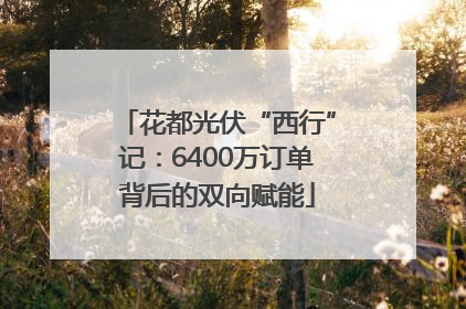 花都光伏“西行”记：6400万订单背后的双向赋能