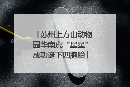 苏州上方山动物园华南虎“星星”成功诞下四胞胎