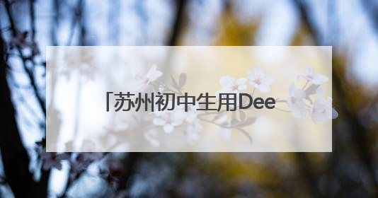 苏州初中生用DeepSeek打造专属游戏，在校园里火了！