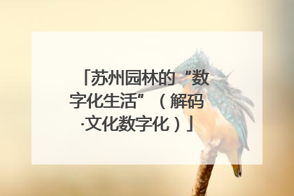 苏州园林的“数字化生活”（解码·文化数字化）