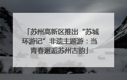 苏州高新区推出“苏城环游记”非遗主题游：当青春邂逅苏州古韵