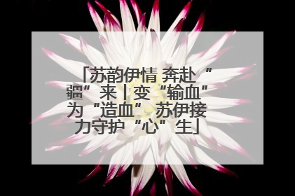 苏韵伊情 奔赴“疆”来丨变“输血”为“造血” 苏伊接力守护“心”生