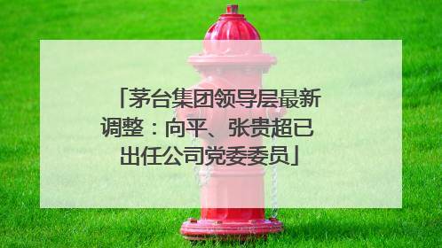 茅台集团领导层最新调整：向平、张贵超已出任公司党委委员