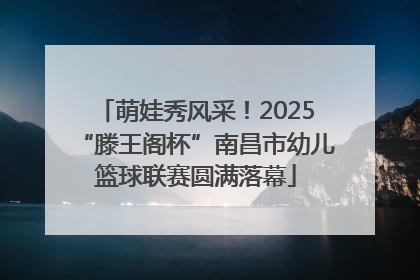 萌娃秀风采！2025“滕王阁杯”南昌市幼儿篮球联赛圆满落幕