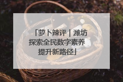 萝卜辣评｜潍坊探索全民数字素养提升新路径