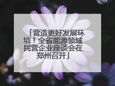 营造更好发展环境！全省能源领域民营企业座谈会在郑州召开