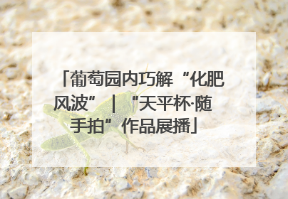 葡萄园内巧解“化肥风波”｜“天平杯·随手拍”作品展播