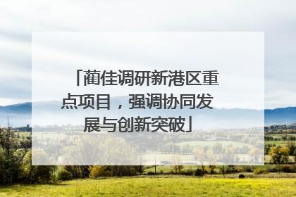 蔺佳调研新港区重点项目，强调协同发展与创新突破