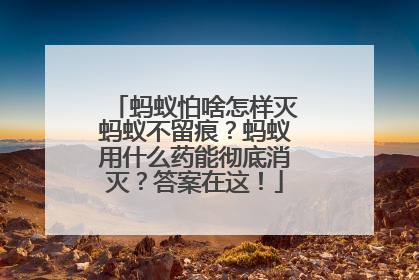 蚂蚁怕啥怎样灭蚂蚁不留痕？蚂蚁用什么药能彻底消灭？答案在这！