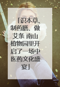 识本草、制药膳、做艾条 南山植物园里开启了一场中医药文化盛宴