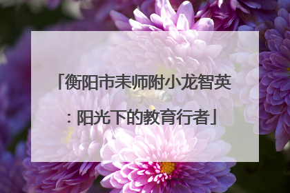 衡阳市耒师附小龙智英：阳光下的教育行者