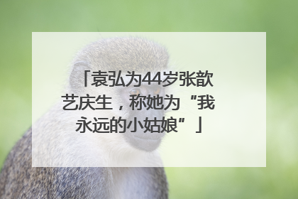袁弘为44岁张歆艺庆生，称她为“我永远的小姑娘”