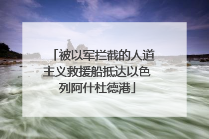被以军拦截的人道主义救援船抵达以色列阿什杜德港